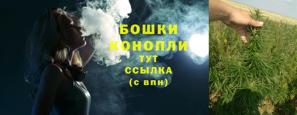 прущие крисы Арсеньев