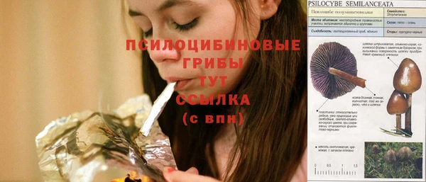 прущие крисы Арсеньев