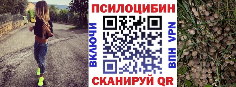 KRAKEN   Малоярославец  Псилоцибиновые грибы Cubensis  купить наркоту 